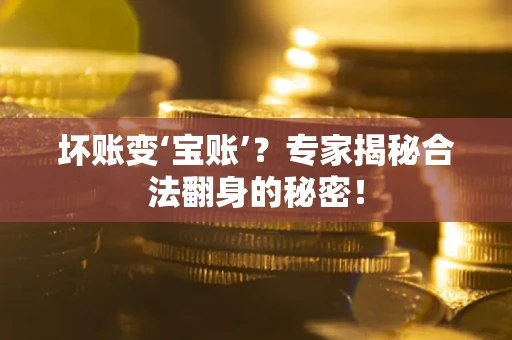 武汉坏账变‘宝账’？专家揭秘合法翻身的秘密！
