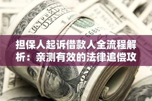 武汉担保人起诉借款人全流程解析：亲测有效的法律追偿攻略