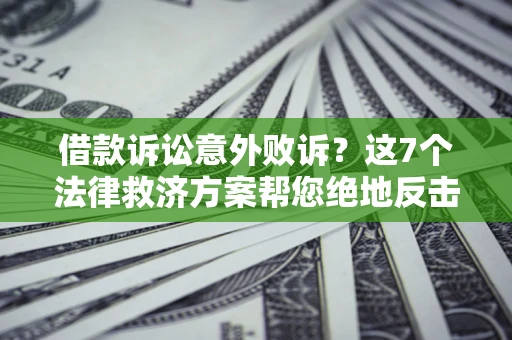 武汉借款诉讼意外败诉？这7个法律救济方案帮您绝地反击！