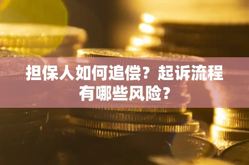 武汉担保人如何追偿？起诉流程有哪些风险？