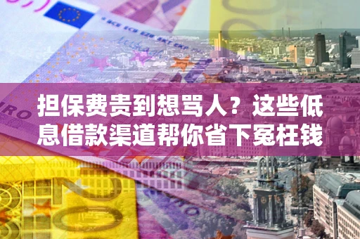 武汉担保费贵到想骂人？这些低息借款渠道帮你省下冤枉钱