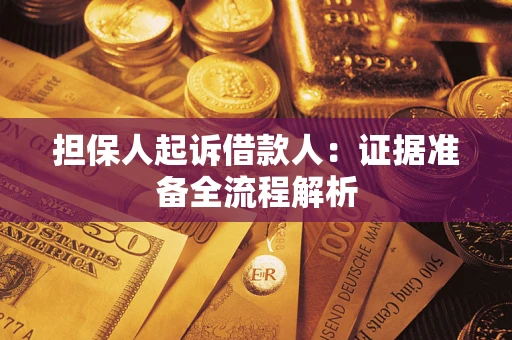 武汉担保人起诉借款人：证据准备全流程解析