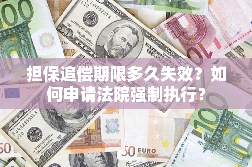 武汉担保追偿期限多久失效？如何申请法院强制执行？