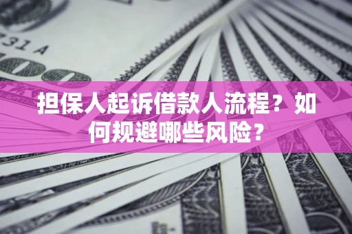武汉担保人起诉借款人流程？如何规避哪些风险？