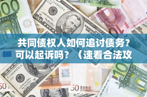 武汉共同债权人如何追讨债务？可以起诉吗？（速看合法攻略）