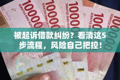 武汉被起诉借款纠纷？看清这5步流程，风险自己把控！