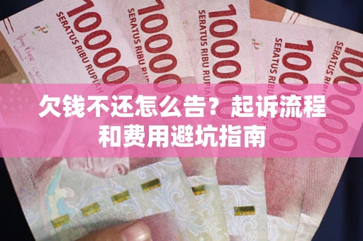 武汉欠钱不还怎么告?起诉流程和费用避坑指南 武汉欠钱不还怎么告?起诉流程和费用避坑指南