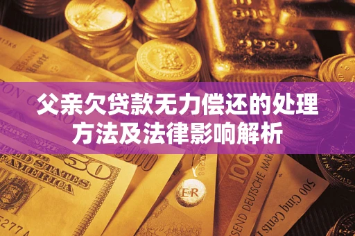 武汉父亲欠贷款无力偿还的处理方法及法律影响解析